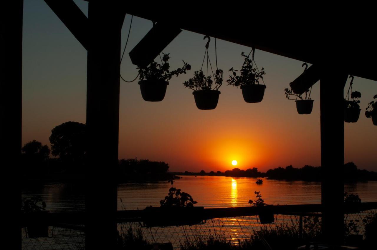 Pensiunea Paradise Delta House Mila Douăzeci şi Trei Exterior foto