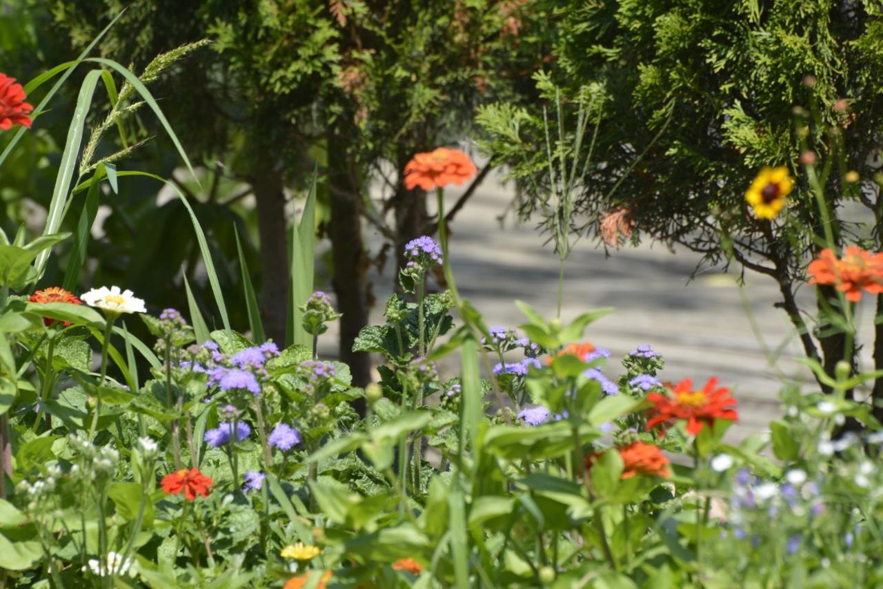 Pensiunea Paradise Delta House Mila Douăzeci şi Trei Exterior foto