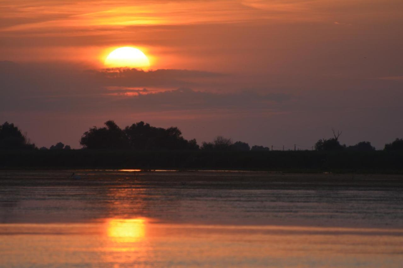 Pensiunea Paradise Delta House Mila Douăzeci şi Trei Exterior foto